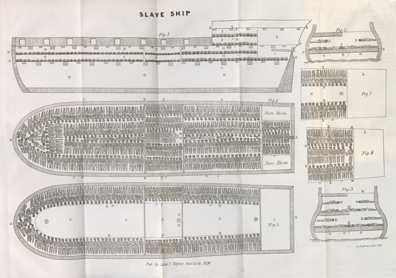 A fold-out diagram of a slaving ship