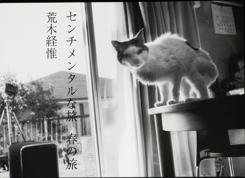 [Untitled]