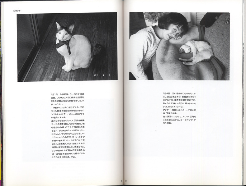 [Untitled]