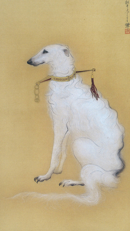 A Blind Dog