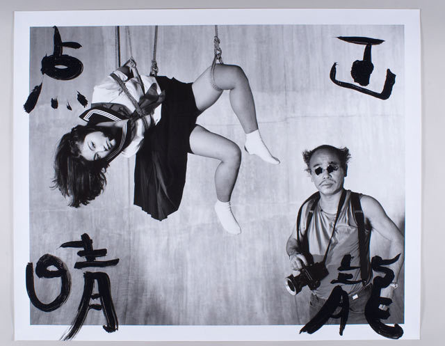 araki_model2