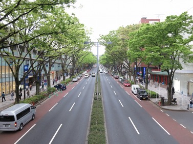 Omotesando Today