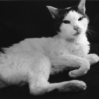 [Untitled]