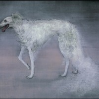 The Cut Long-Term Experiment