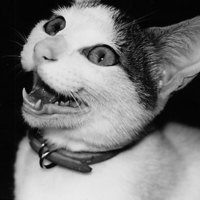 [Untitled]