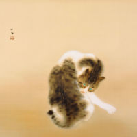 Tabby Cat