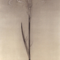 [Untitled]