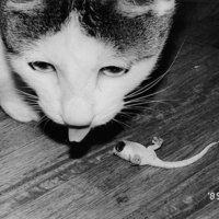 [Untitled]