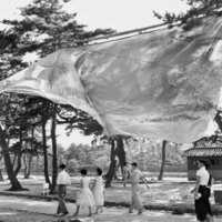 Work Created Using a Cannon