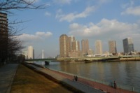 Tsukiji Today