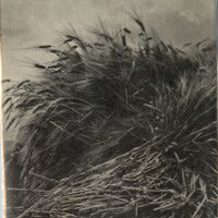 Pictures from Brueghel and Other Poems